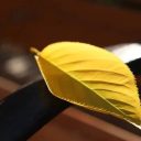 一键收藏！邂逅青岛为明学校初冬的灿烂校园！（一）