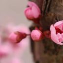 为明壁纸，上新啦！